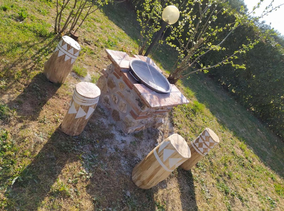 Podere Conte Gherardo * Castagneto Carducci